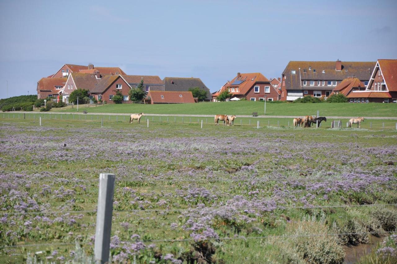 Seevilla Wietjes Whg 6 Baltrum Eksteriør billede